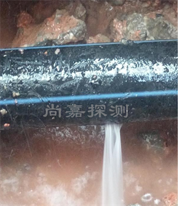 中原消防管道漏点探测