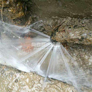 中原自来水管道漏点检测